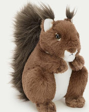 Load image into Gallery viewer, Brown Squirrel Plush