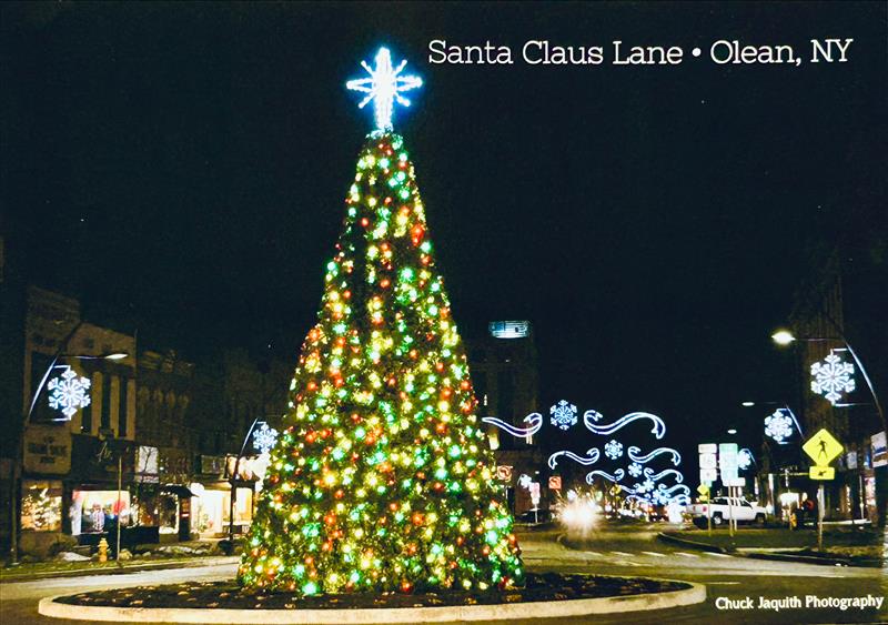 Santa Claus Lane Tree Postcard