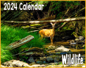 2024 Wildlife Calendar•