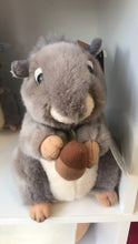 Load image into Gallery viewer, Miyoni Squirrel Toy